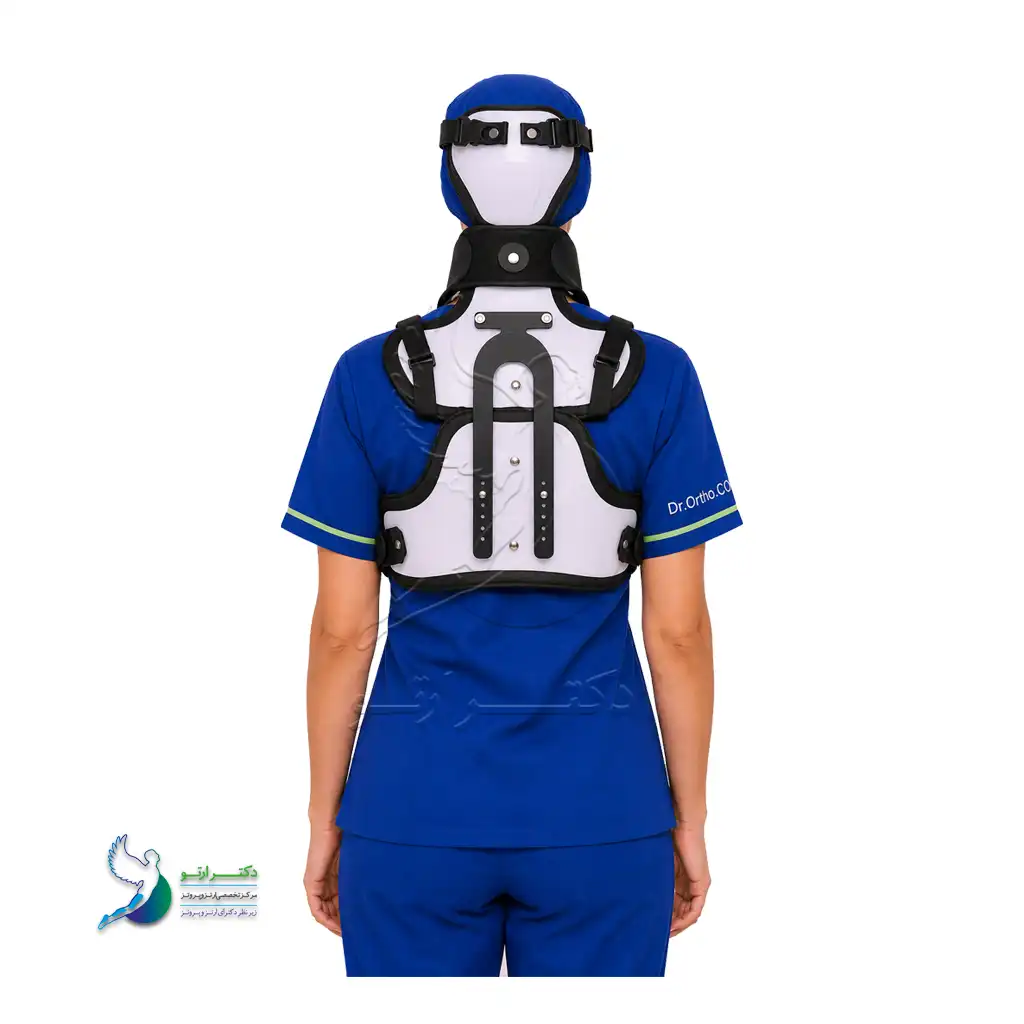 ارتز مینروا
